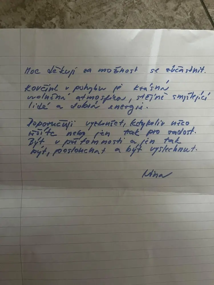 Ručně psaná recenze účastníka