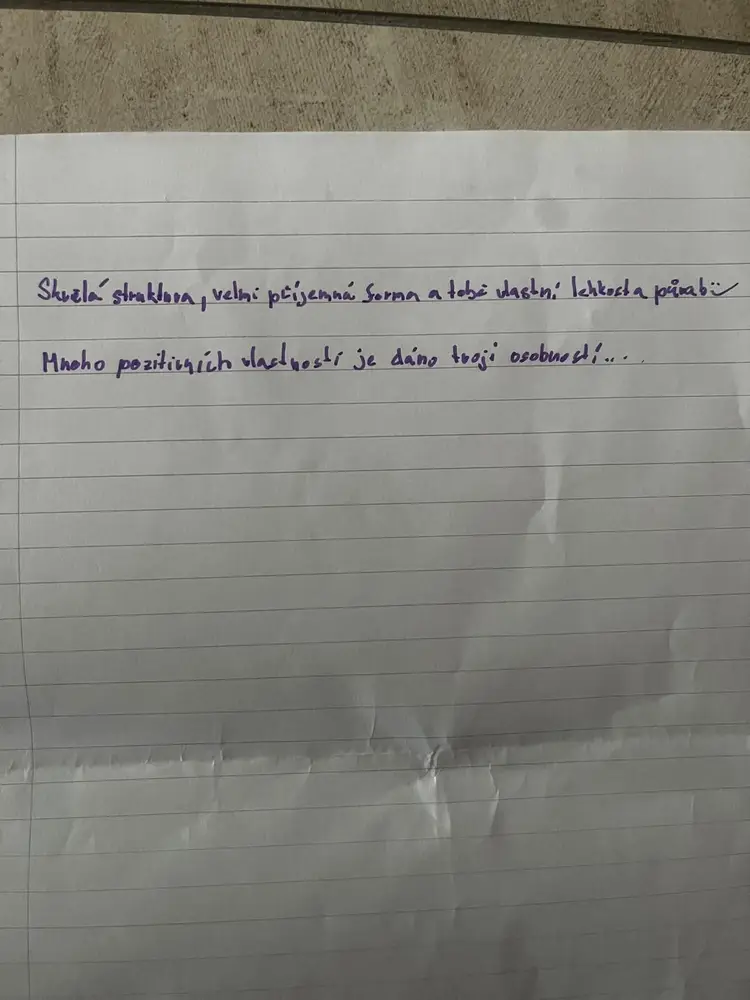 Ručně psaná recenze účastníka